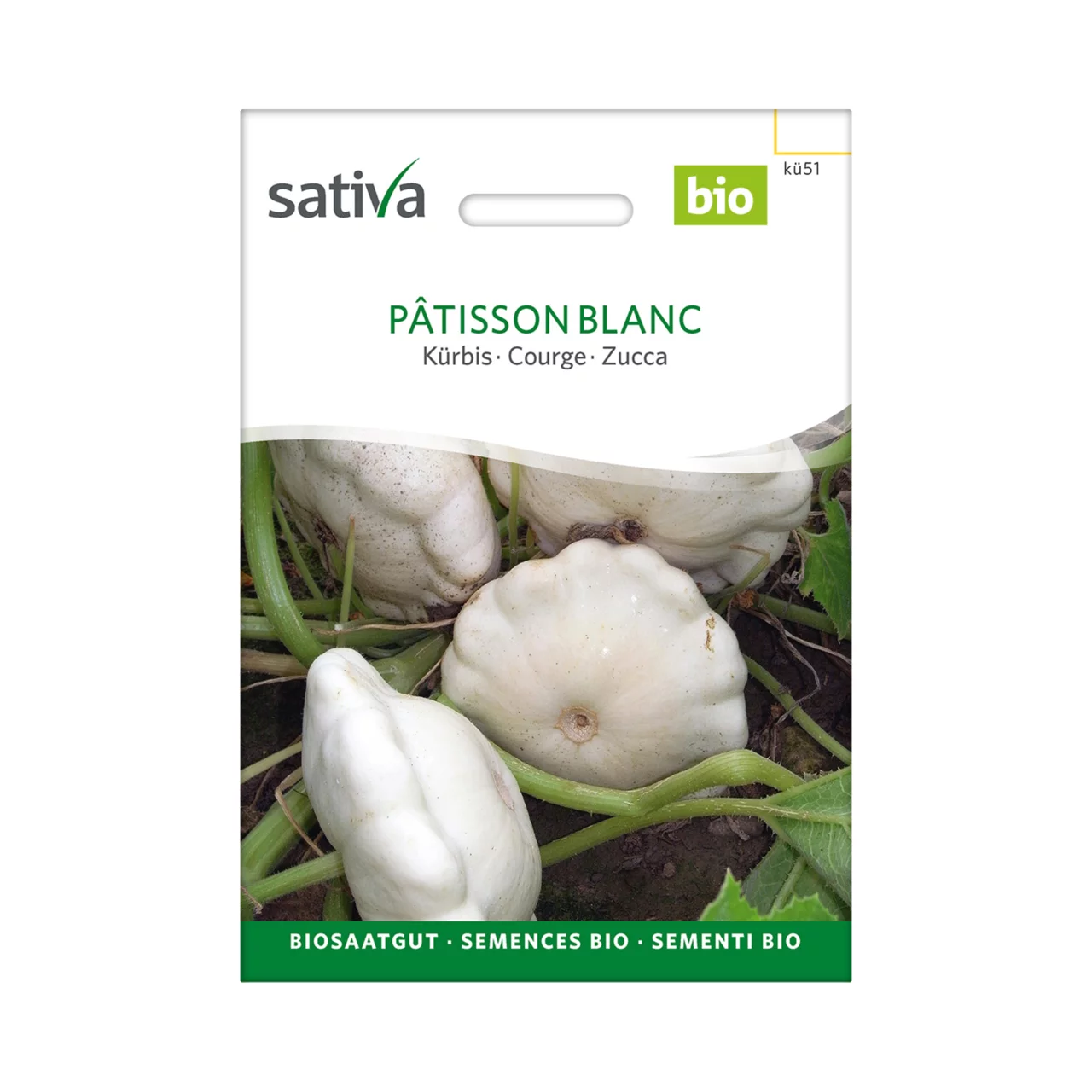 Produktbild zu «Biosamen Kürbis Pâtisson Blanc» | © Sativa Rheinau AG