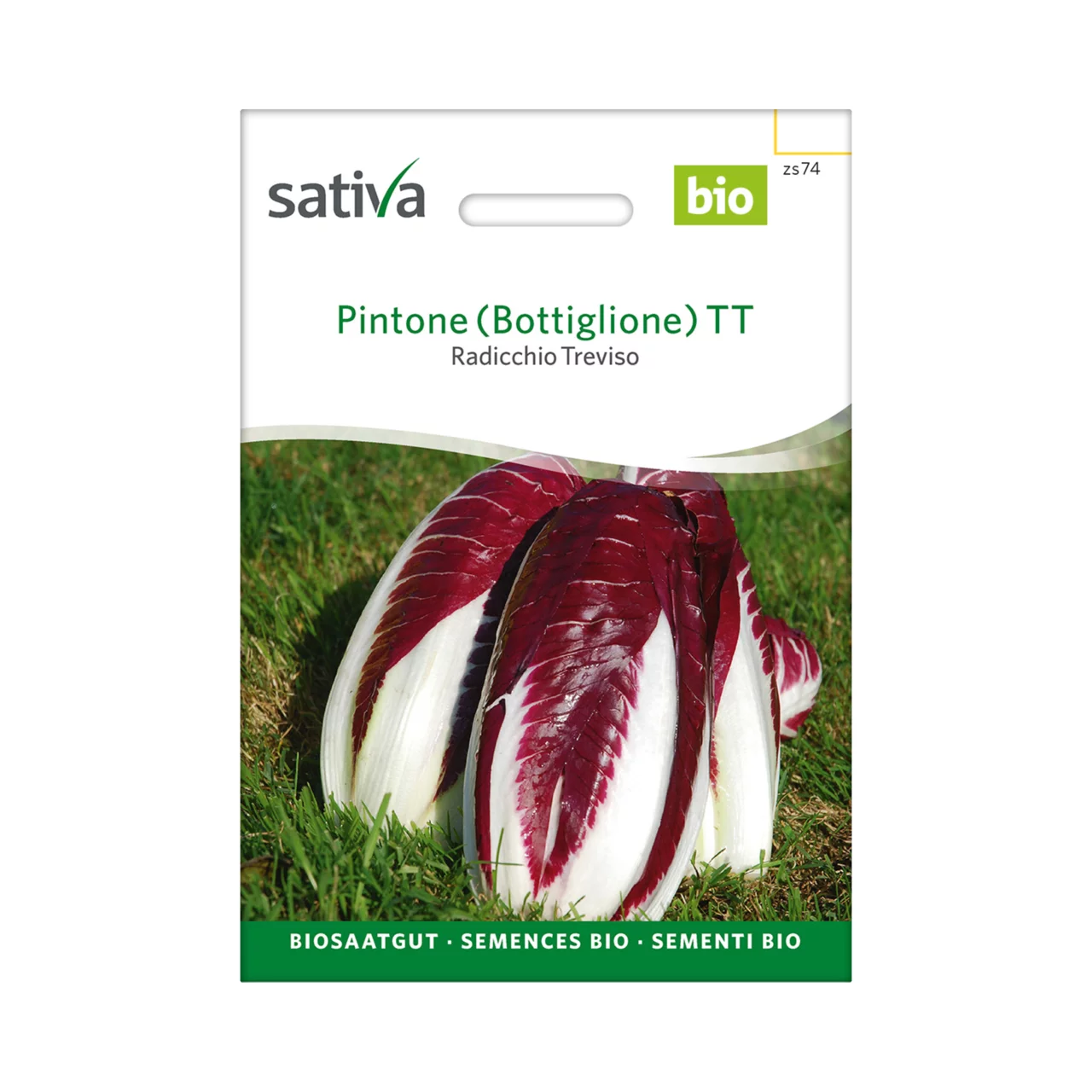 Produktbild zu «Biosamen Radicchio Treviso Pintone (Bottiglione) TT» | © Sativa Rheinau AG