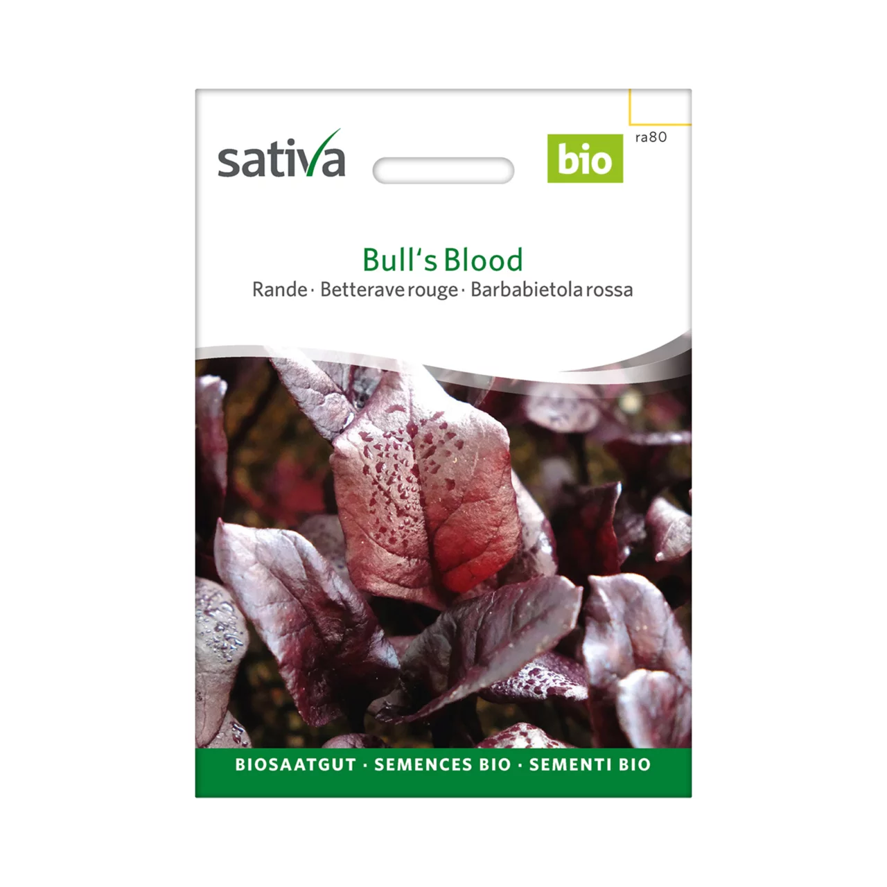 Image du produit pour «Semences bio Betterave rouge Bulls Blood» | © Sativa Rheinau AG
