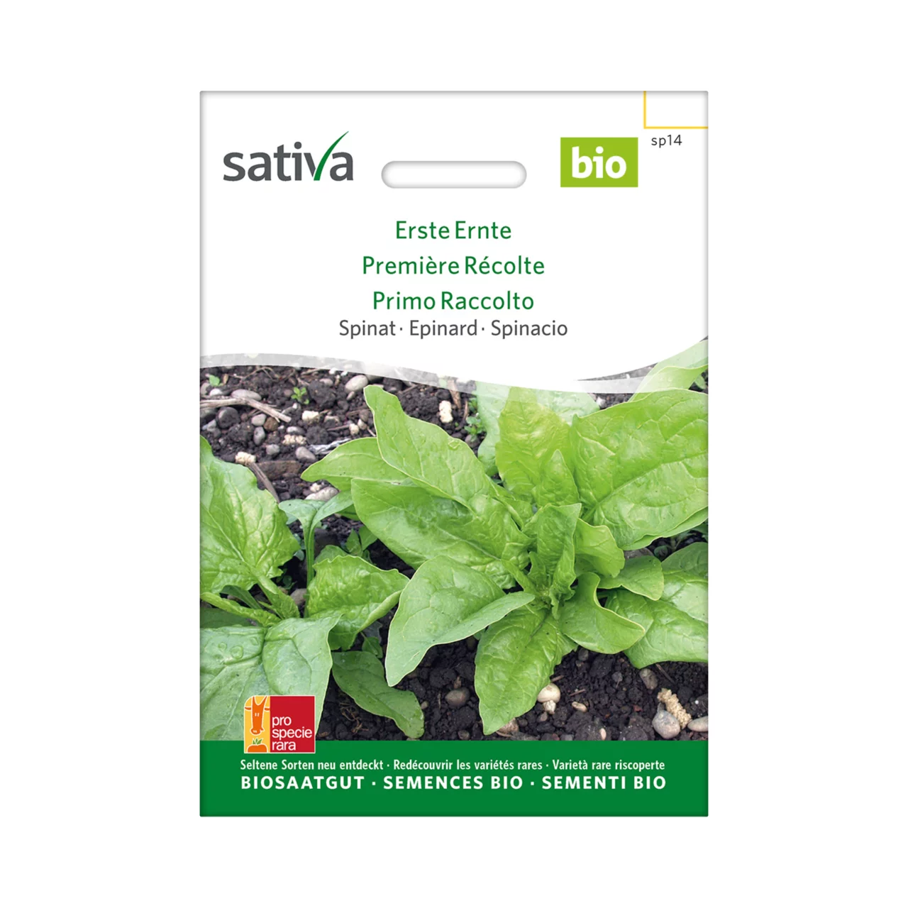 Produktbild zu «Biosamen Spinat Erste Ernte» | © Sativa Rheinau AG