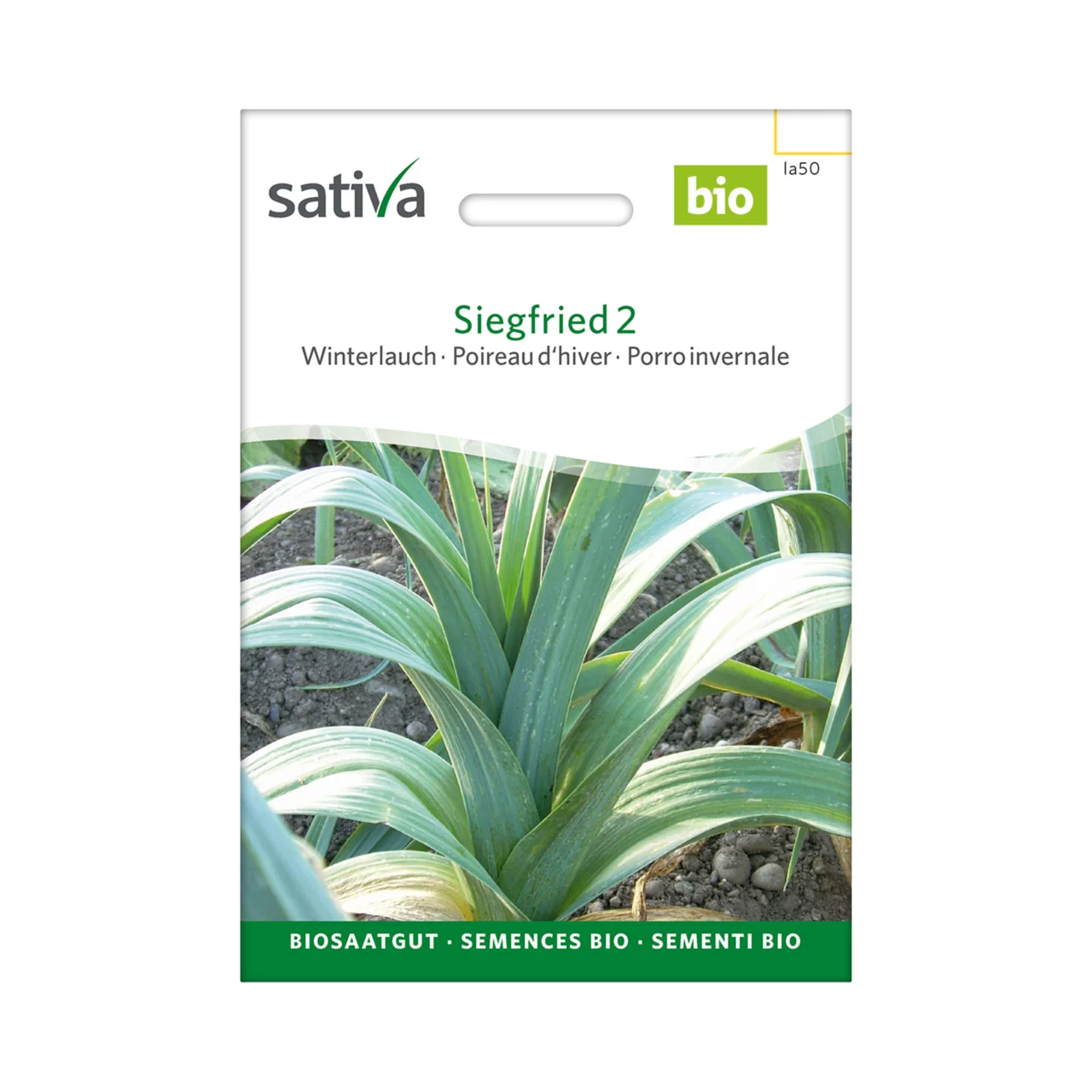 Produktbild zu «Biosamen Winterlauch Siegfried 2» | © Sativa Rheinau AG