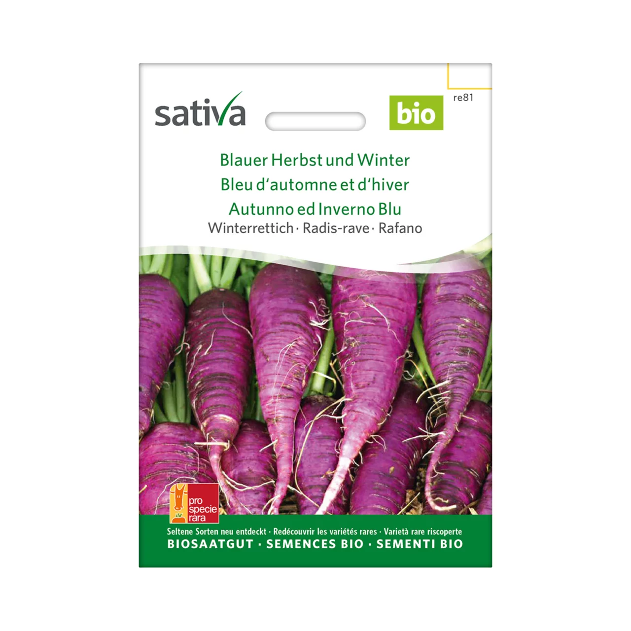 Produktbild zu «Biosamen Winterrettich Blauer Herbst und Winter» | © Sativa Rheinau AG