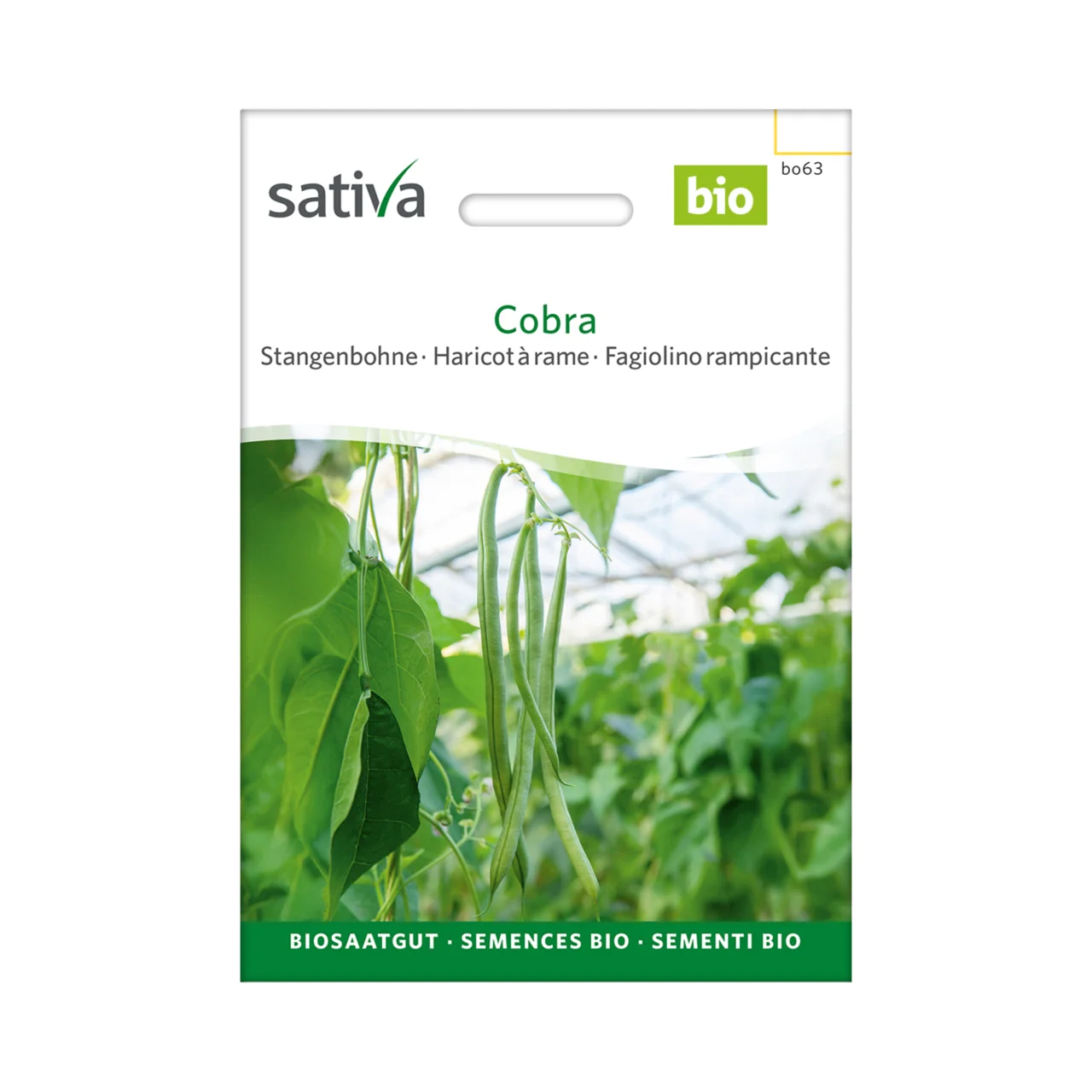 Image du produit pour «Semences bio Haricot à rame Cobra»
