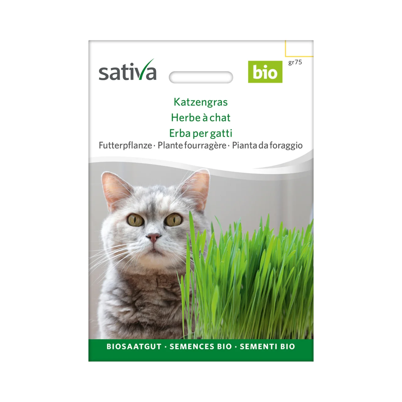 Image du produit pour «Semences bio Plante fourragère Herbe à chat»