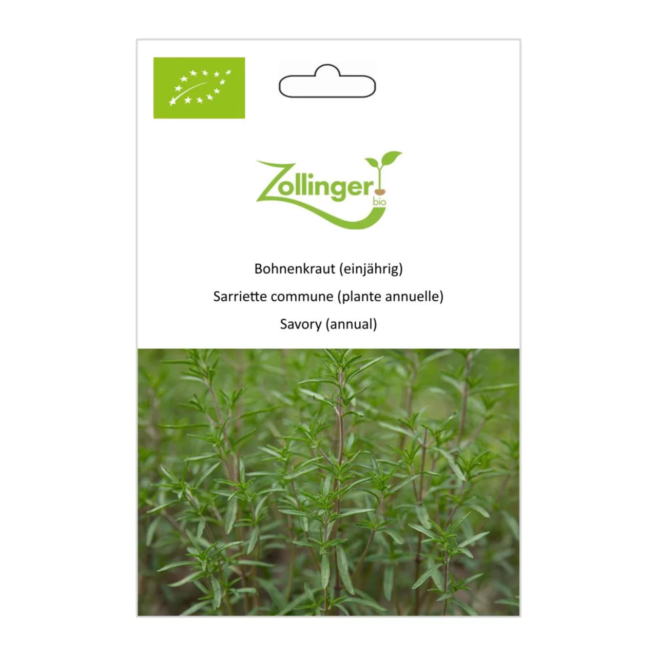 Produktbild zu «Biosamen Bohnenkraut (einjährig)» | © Zollinger Bio Sàrl