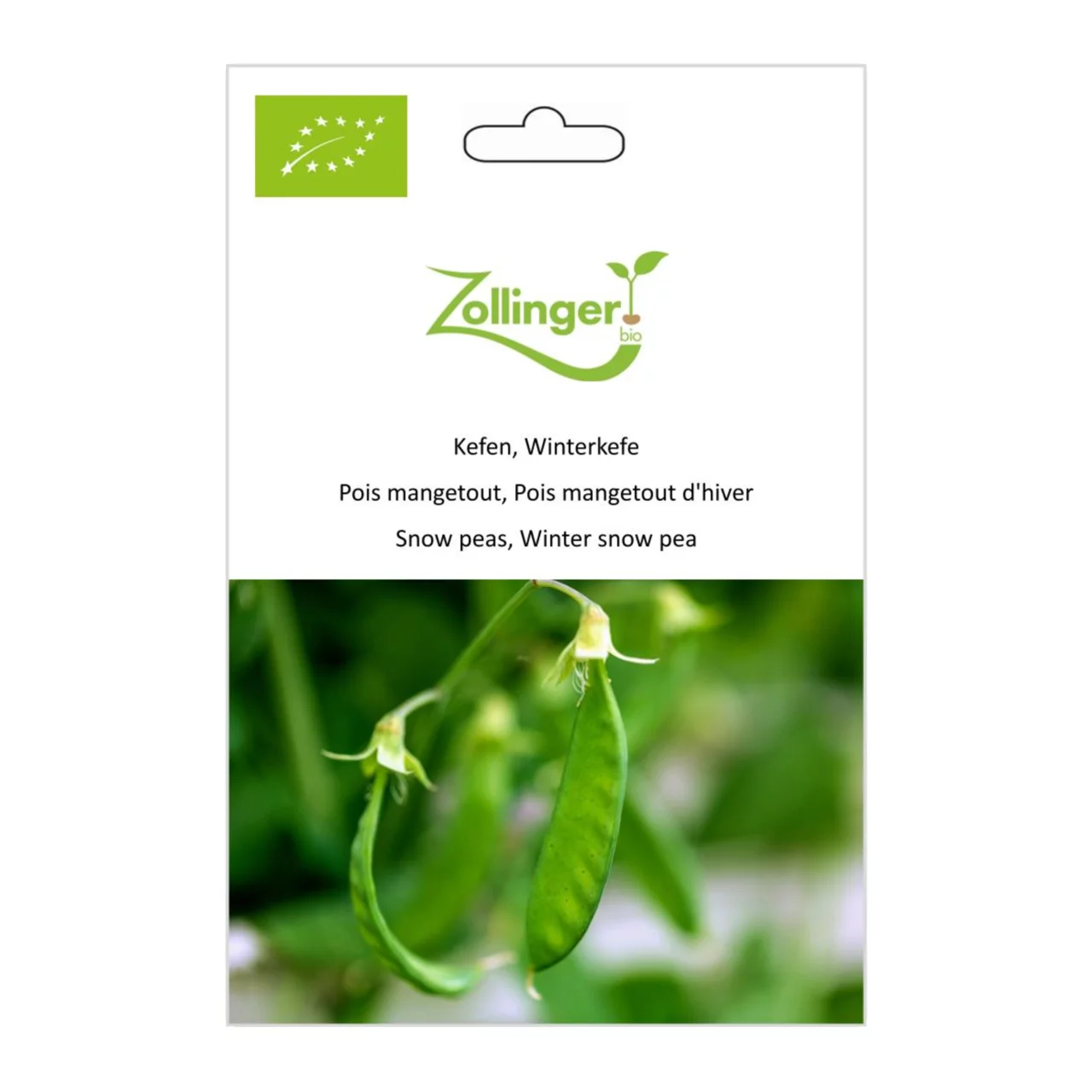 Image du produit pour «Semences bio Pois Mangetout, Pois Mangetout d'Hiver» | © Zollinger Bio Sàrl