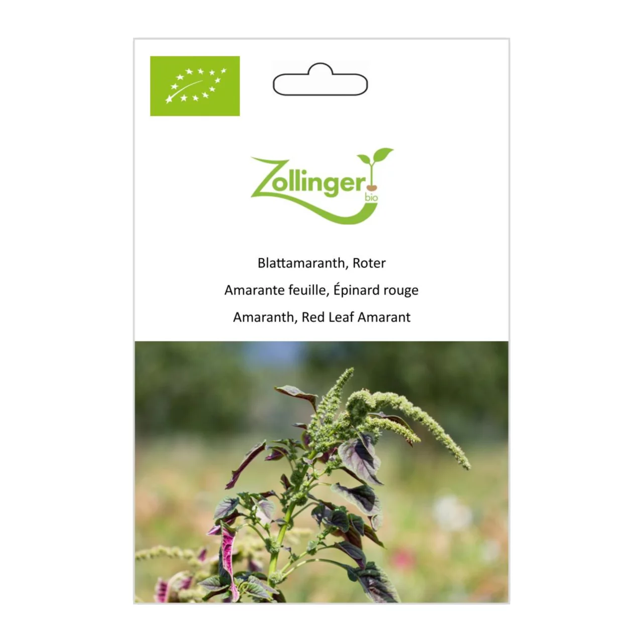 Image du produit pour «Semences bio Amarante Feuille, Épinard Rouge» | © Zollinger Bio Sàrl