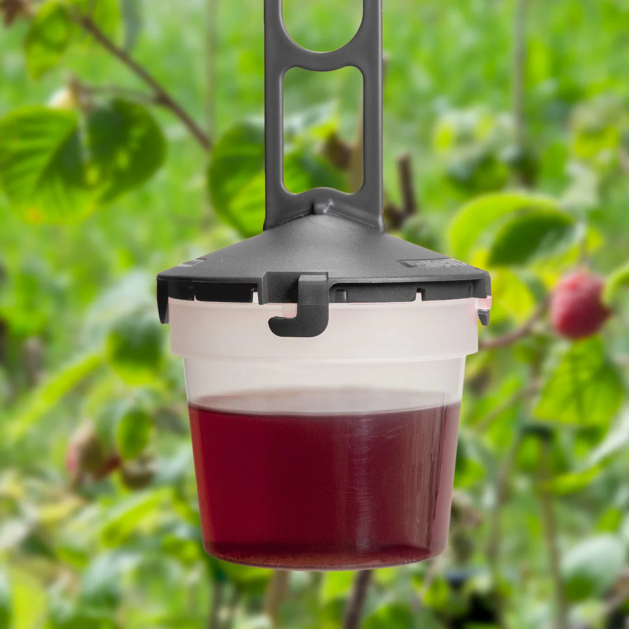 Produktbild zu «Drosal® Pro Kirschessigfliegen-Falle» | © Andermatt Biogarten AG