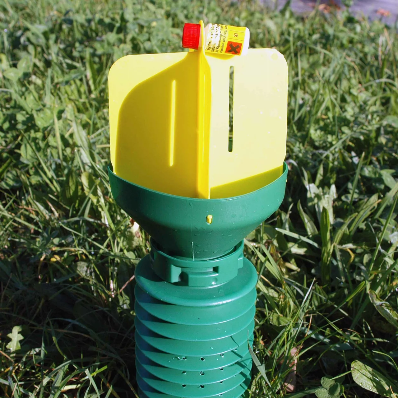 Produktbild zu «Phyllotrap» | © Andermatt Biocontrol Suisse AG