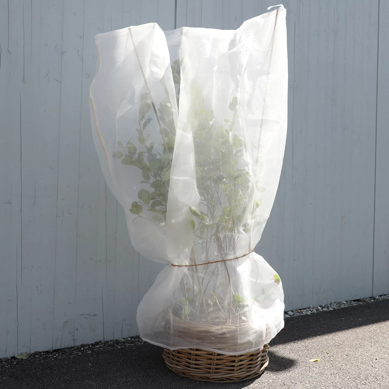 Produktbild zu «Drosal Schutznetze» | © Andermatt Biogarten AG